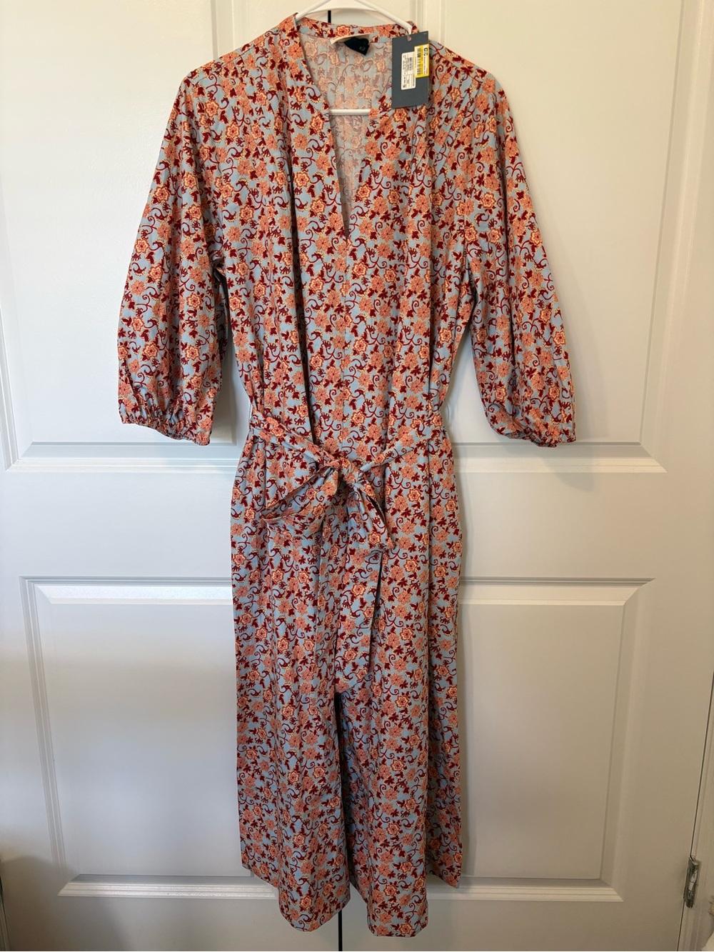 Floral V-Neck Tie-Waist Dress in Light Blue & Rust